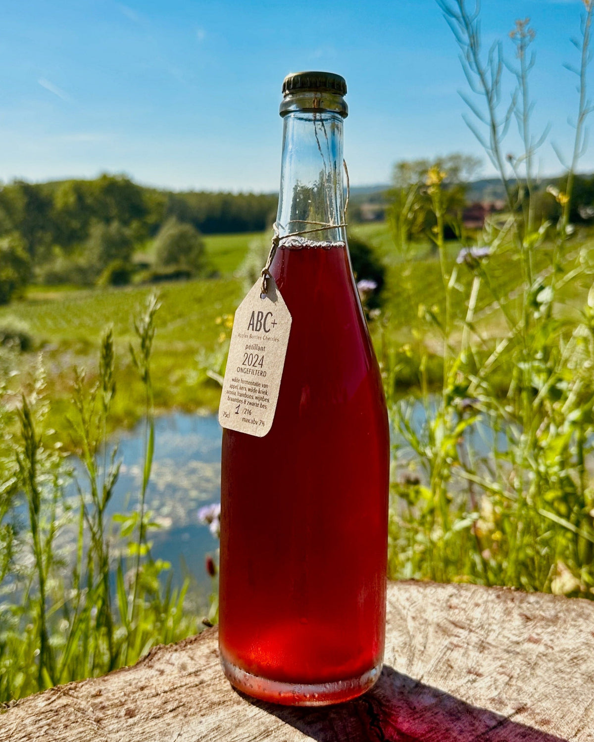 Anargist cider apples berries cherries